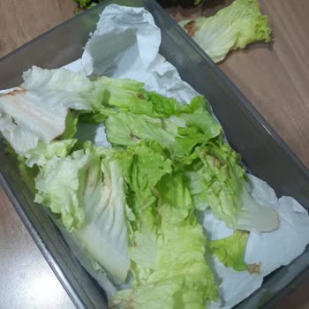 Profilo Pişmanlıktır. Okumadan Profilo Buzdolabı Alma