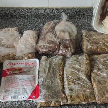 Uğur Derin Dondurucu Nun İçinde Bütün Gıdalarımın Bozulması