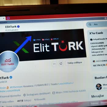 Winvest Brokers - Elit Türk - Meta Trade 5