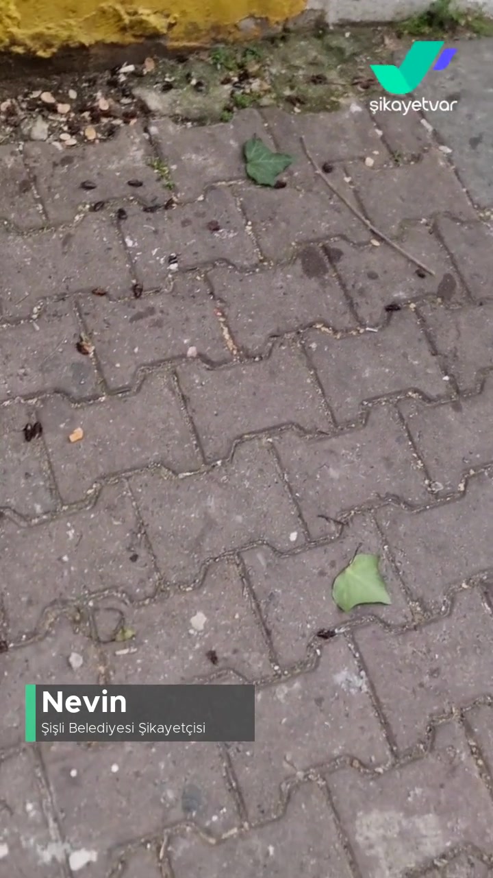 Rögar, Karaböcekler Bastı Sokak Çöp Ve Böcek Dolu Yürünmüyor! videonun kapak resmi