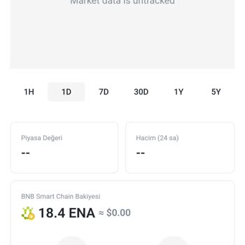 PancakeSwap Ena Coin Sahte Satımı