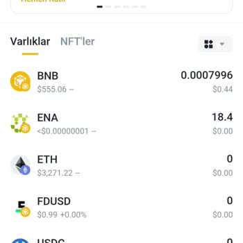PancakeSwap Ena Coin Sahte Satımı