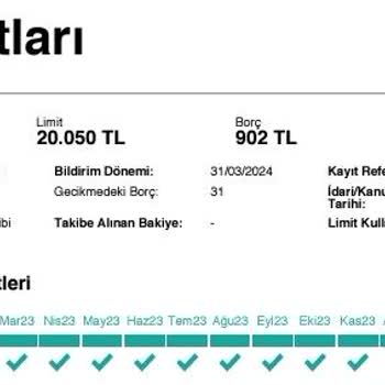 Findeks Raporunda Görünen Borç Hangi Bankaya Ait Olduğunu Göremiyorum.