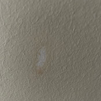 BİM Market Polisan Boya Kabusu