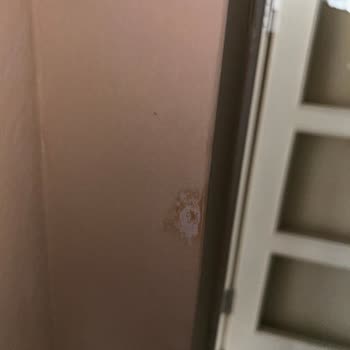 BİM Market Polisan Boya Kabusu