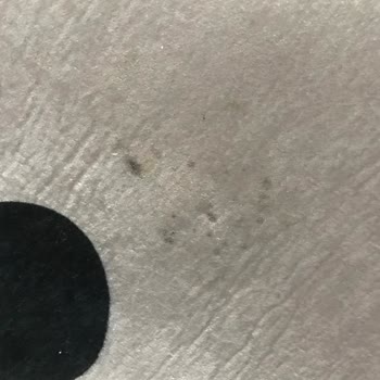 Royel Halı Yıkama (Bursa) Royel Halı Yıkama Fabrikası