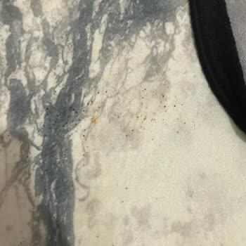 Royel Halı Yıkama (Bursa) Royel Halı Yıkama Fabrikası