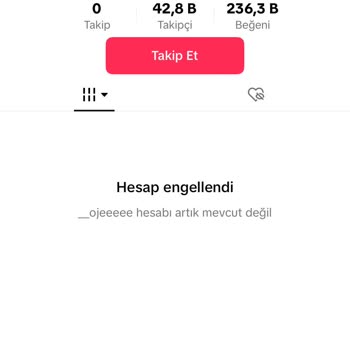 TikTok Hesabım Engellendi. Açarsanız Sevinirim