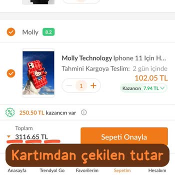 Trendyol Kartımdan Parayı Çekti Ancak Siparişim Oluşturulmadı