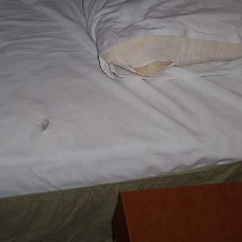 Trilya Hotel Taksim Çok Kötü!