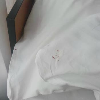 Trilya Hotel Taksim Çok Kötü!