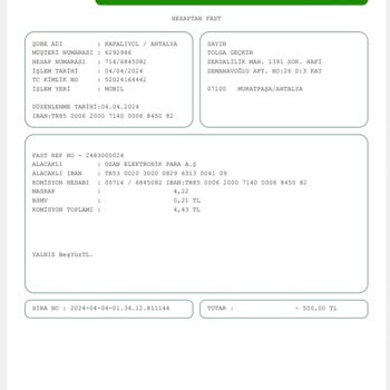 Ozan Elektronik Para A. Ş Yanıltarak Para Transferi