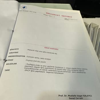 Medicine Hospital-yeni Kasap Dükkanı