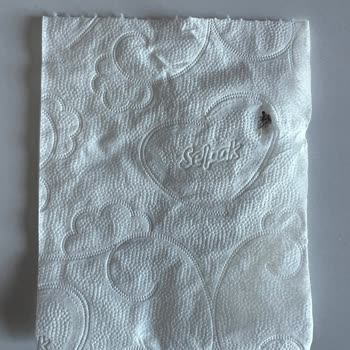 Selpak Tuvalet Kağıdında Ezilmiş Böcek