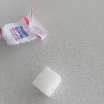 Irmak Şeker Küp Şekerde Kıl Çıkması