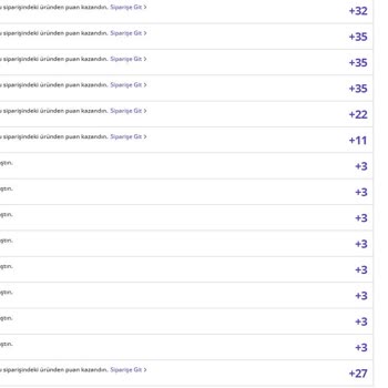 N11'in Uçuş Puan İşgüzarlığı