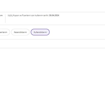 N11'in Uçuş Puan İşgüzarlığı