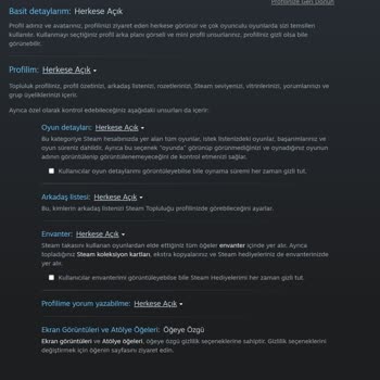 TruckersMP'e Giremiyorum Düzeltilmesi Gerekiyor.