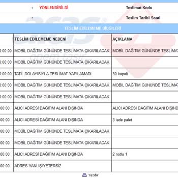 Aras Kargo Kargonun Dağıtım Problemi