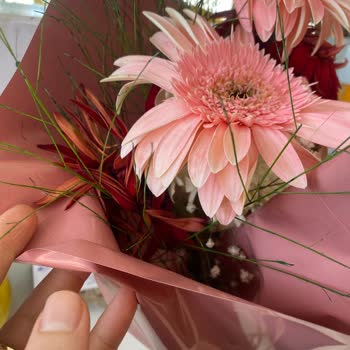 ÇiçekSepeti Hayal Kırıklığına Uğratan Çiçek Siparişi