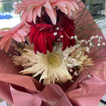 ÇiçekSepeti Hayal Kırıklığına Uğratan Çiçek Siparişi