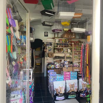 CK Boğaziçi Elektrik Elektrik Firması Elektriğimi Haksız Yere Kesti