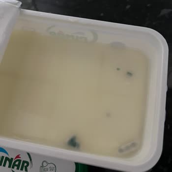Pınar Et ve Süt Marketten Alınan Süzme Peynirde Küflenme Sorunu