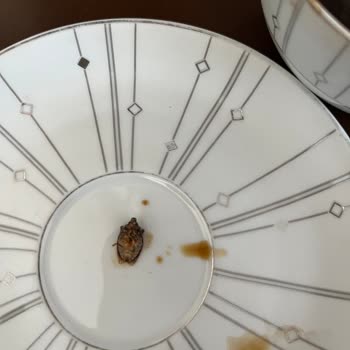 Kurukahveci Mehmet Efendi Kahve Keyfimiz Böcekli Çıktı!