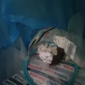 Torku Yok Yok Yok Yok