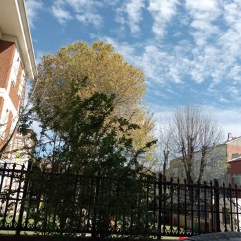 Doğa Koleji Topkapı Kampüsünden Şikayetçiyiz.