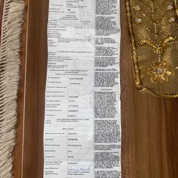 Martı Tag Yaparken 32.233 TL Ceza Yedim Yetkililer Yardımcı Olun