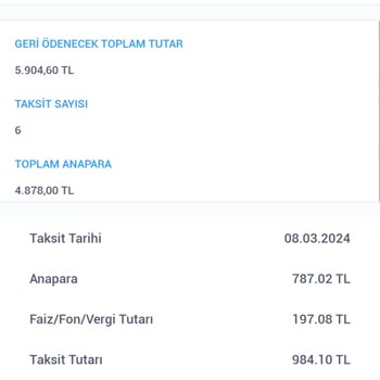 Findeks Gecikmede Borç Gözüküyor