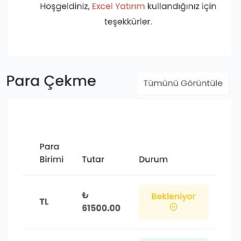 Excel Yatırım Yatırım Kazancım Hesabıma Geçmiyor