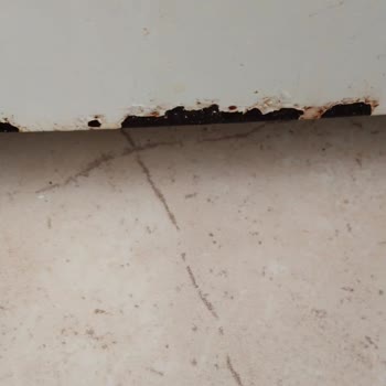 Profilo Garantili Buz Dolabımızın Kapağı Paslandı