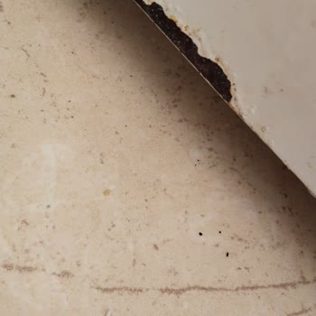 Profilo Garantili Buz Dolabımızın Kapağı Paslandı