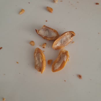 Tadım Gıda Fıstıktaki Çürükler Ve Bozulmalar