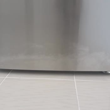 Bosch Buzdolabı Renk Solması