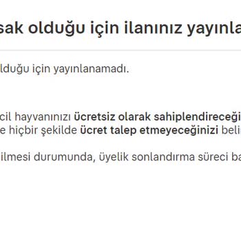 Sahibinden Kedi Sahiplendirme İlanı Giremiyorum