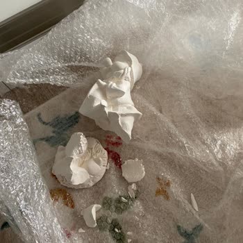 PTT Kargo Önemli Eşyalarım Zarar Gördü: Dikkatli Paketleme Bekliyordum