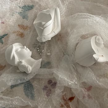 PTT Kargo Önemli Eşyalarım Zarar Gördü: Dikkatli Paketleme Bekliyordum