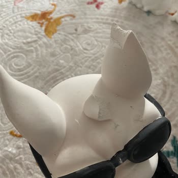 PTT Kargo Önemli Eşyalarım Zarar Gördü: Dikkatli Paketleme Bekliyordum