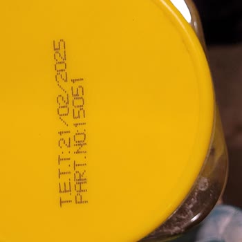 Salkım Gıda Marketten Alınan Salamura Yaprağında Böcek Bulundu