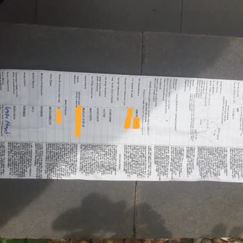 Martı 32 Bin TL'lik Cezayla Şok Eden Trafik Deneyimi