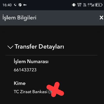 Payoneer Param Yatmadı Param Ne Zaman Yatar