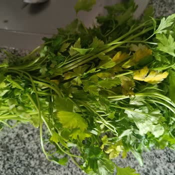 Migros Nazilli Bozuk Ürün
