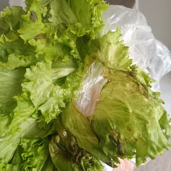 Migros Nazilli Bozuk Ürün