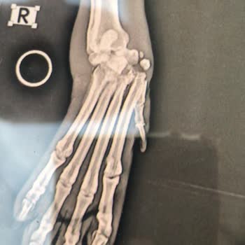 Aliağa Belediyesi Veterinerlik Müdürlüğü Hekimi Şikayet