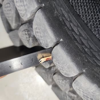 Skechers Dayanıksız Tabana Düz Yolda Yürürken Ağaç Fidanı Saplandı