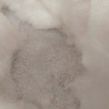 BİM Jenny& Willy Bebek Bezi Pişiği