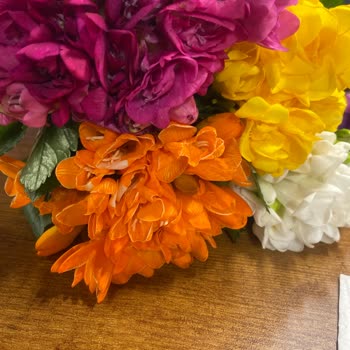 Harikasınız Kadıköy Köfteci Yusuf.